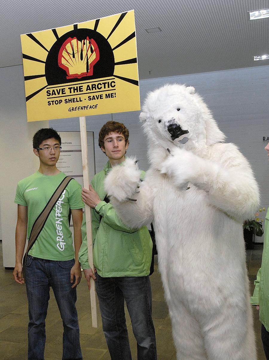 Beluga Schutzt Arktis Erlangen Nordbayern De