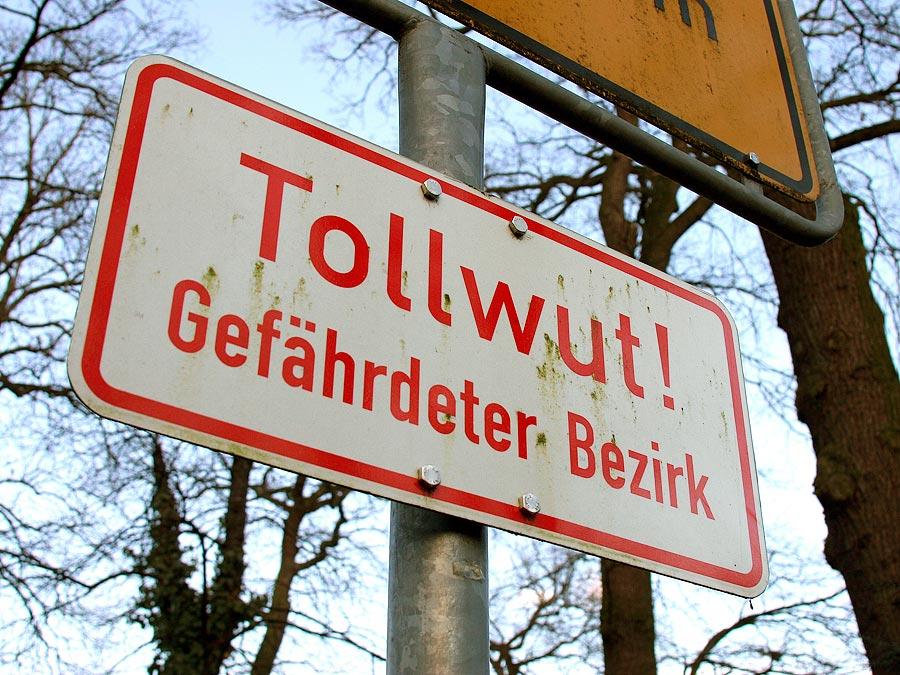 Nein, nicht nur Hunde werden tollwütig, sondern zum Beispiel eben auch Füchse. Verständlich, dass man die "Hundswut" nicht mehr auf entsprechenden Warnschildern findet.