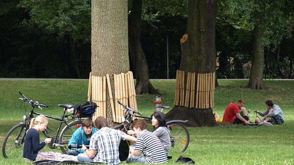 Die Wöhrder Wiese bietet Erholung im Grünen - und das mitten in der Stadt. Entspannen, Picknicken, Sonnenbaden oder Sport machen - das ist hier alles kein Problem. Wer mehr erleben als genießen will, sollte - in Nicht-Corona-Zeiten - das nur in den Sommermonaten geöffnete Erfahrungsfeld der Sinne besuchen. In dem 90 Stationen zählenden Parcours kann man unter anderem Steine zum Klingen bringen.