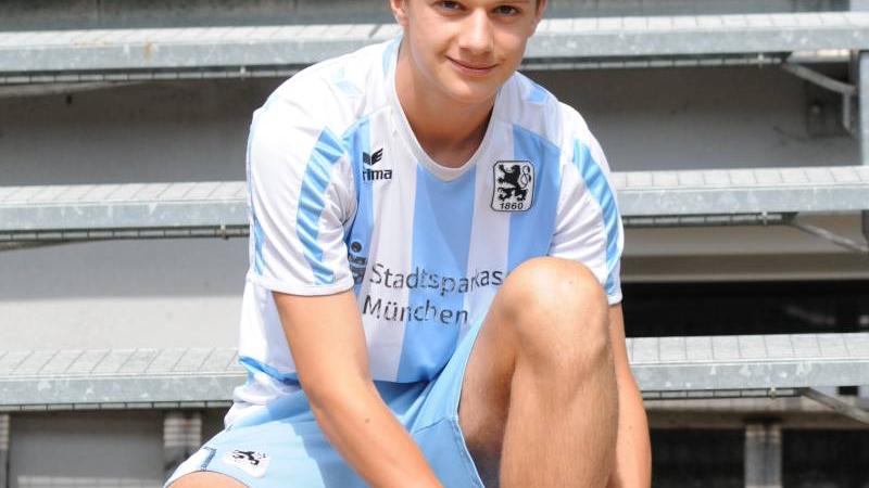 Als Junglöwe in Großstadt durchgebissen Als Junglöwe in Großstadt durchgebissen