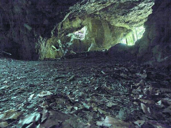 Wanderung zur Esperhöhle bei Burggailenreuth