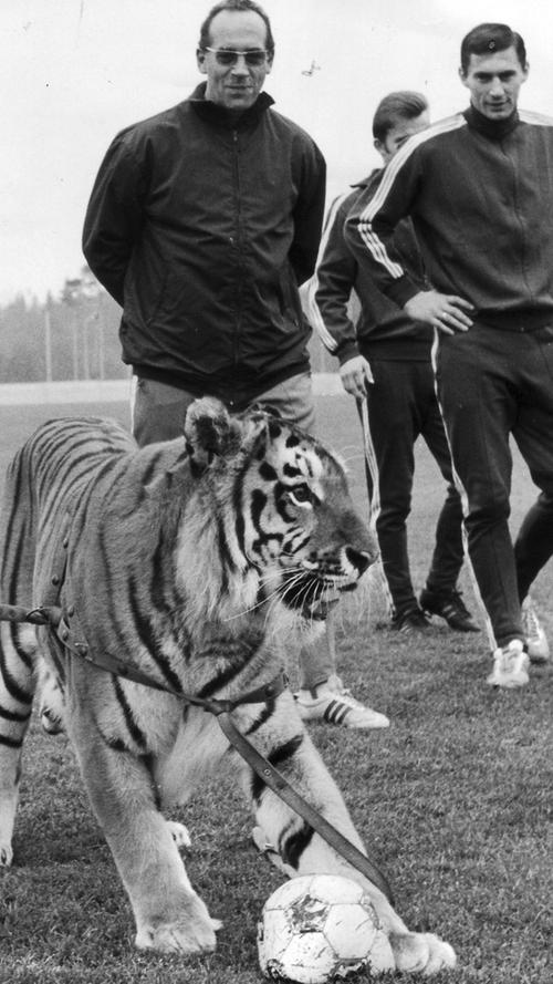 Und zwar von Max Merkel. Der österreichische Star-Trainer brachte Glamour und Erfolg an den Valznerweiher zurück. Während seiner Spielerkarriere, die vom zweiten Weltkrieg unterbrochen wurde, gewann er mit Rapid Wien viermal die österreichische Meisterschaft. Er spielte unter Sepp Herberger einmal für die großdeutsche Nationalmannschaft, nach dem Krieg lief er einmal für Österreich auf. Europaweit berühmt wurde er aber erst als Trainer.