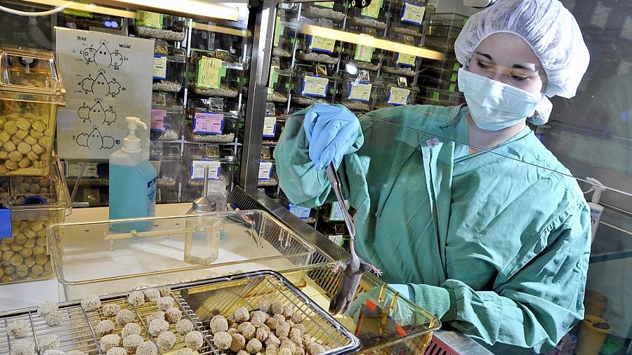 Die Medizin kommt ohne Tierversuche nicht aus Die Medizin kommt ohne Tierversuche nicht aus