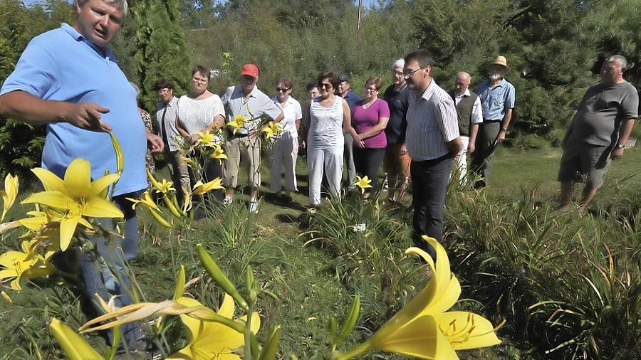 Eine Kriegenbrunner „Arche“ für bedrohte Lilien