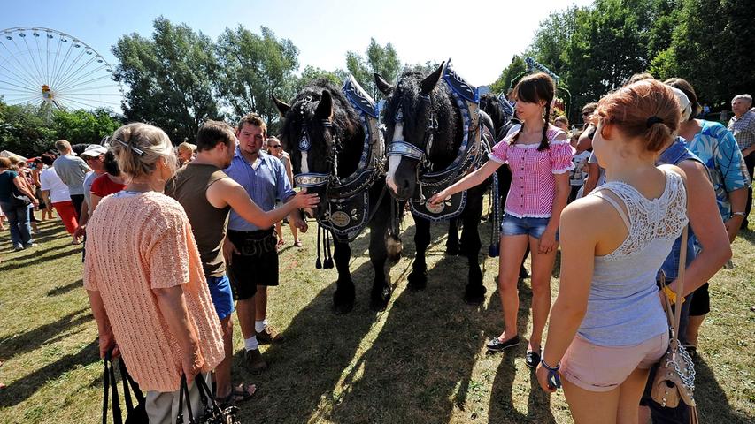 Heiße Pferde-Show auf dem Volksfest