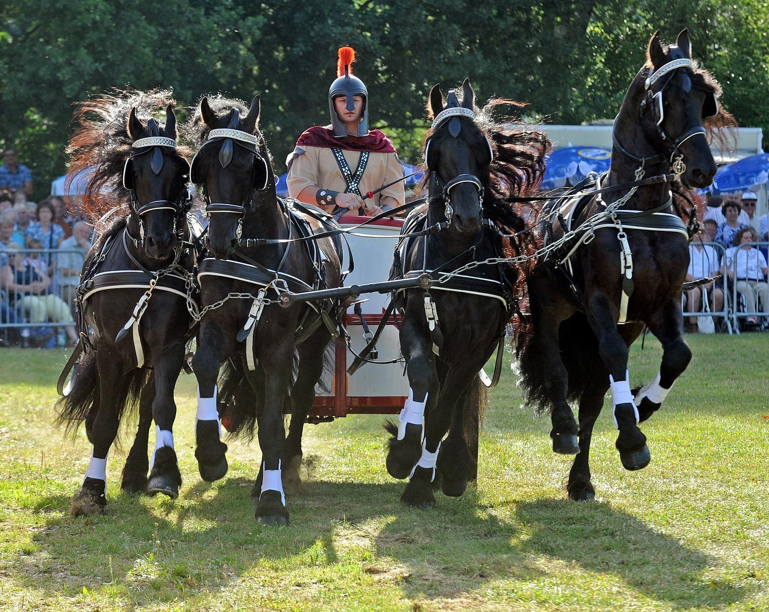 EbayKleinanzeigen Pferd wurde nicht geliefert