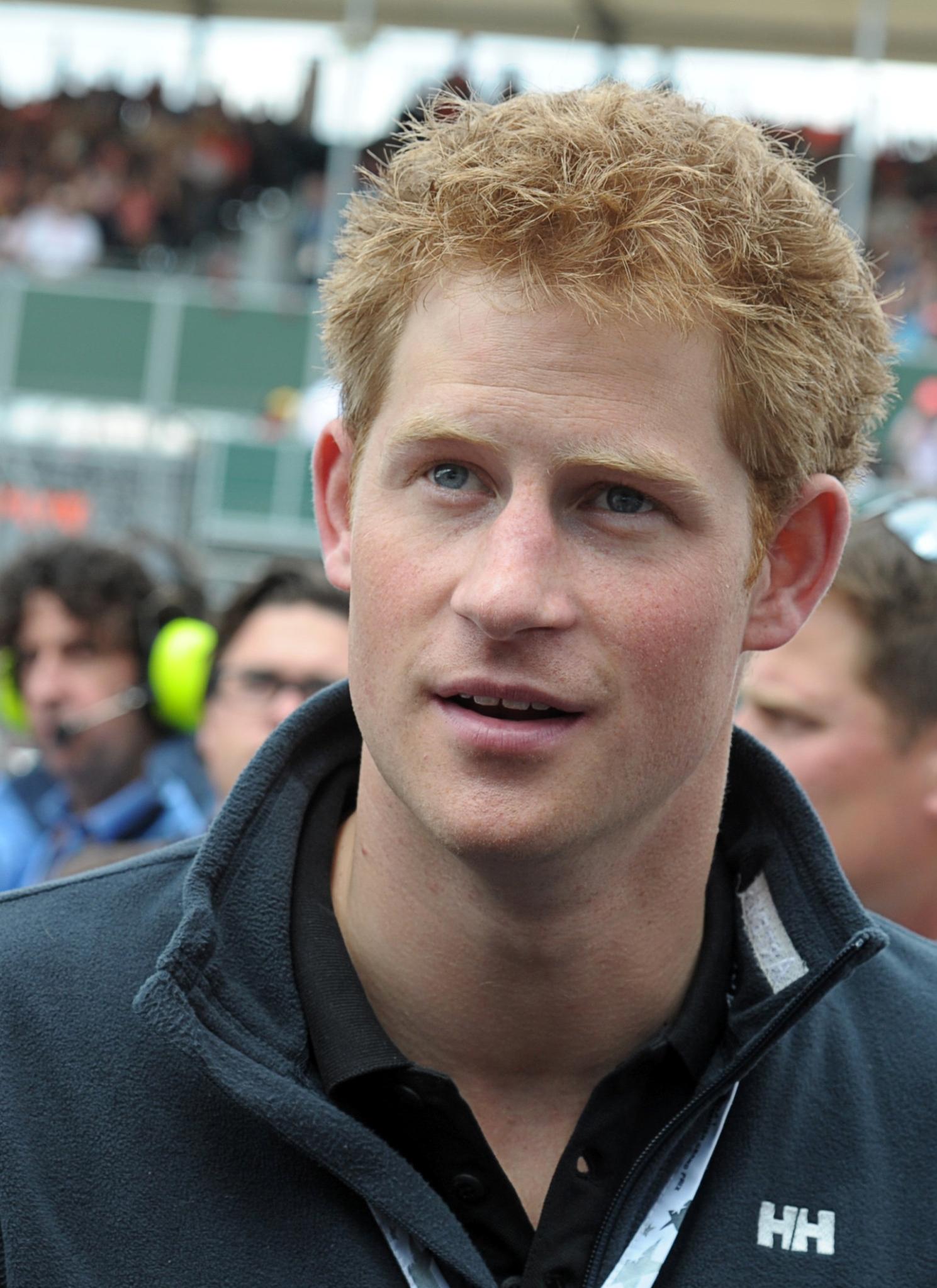 Nacktfotos von Prinz Harry aufgetaucht - Panorama ...