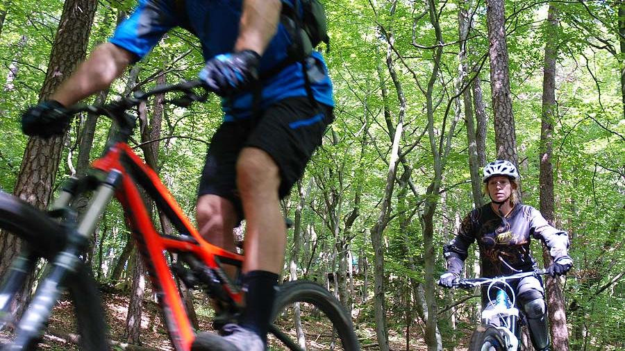 Welche Wege sind im Wald für Radsportler geeignet - und welche nicht?