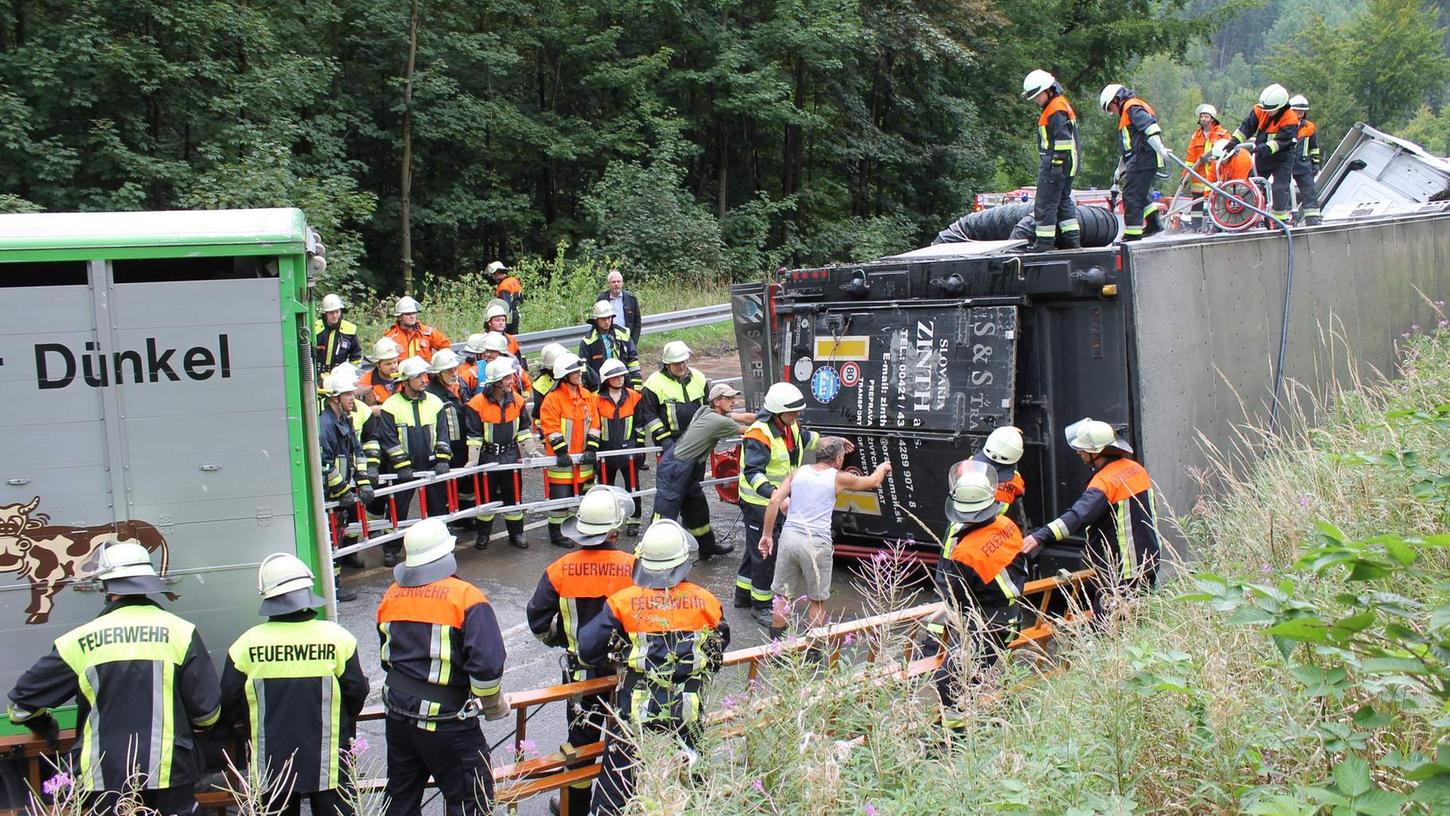 Vierzig Schweine sterben bei Verkehrsunfall im Fichtelgebirge