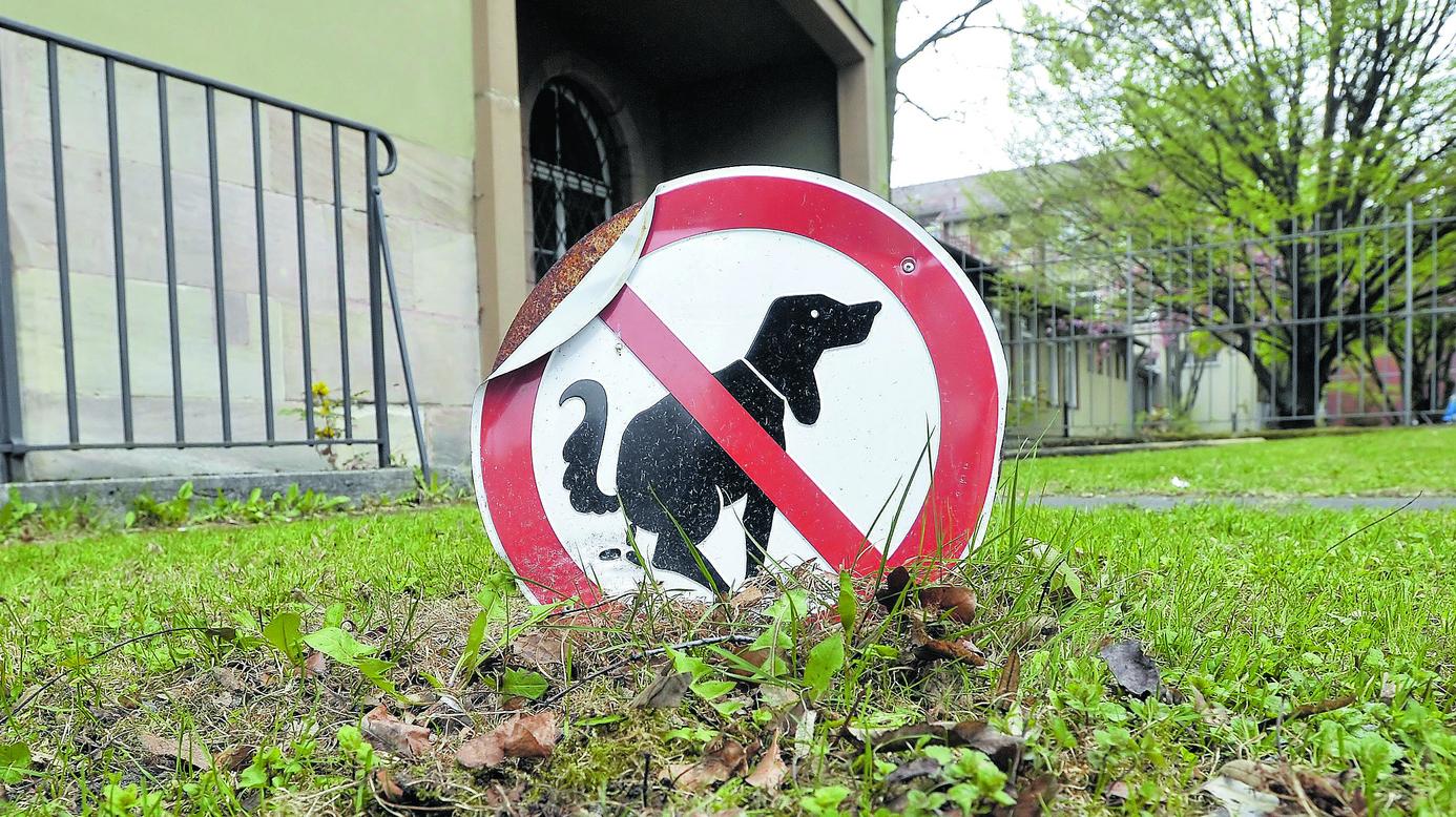 Den Bürgern stinkt es: Zu viel Hundekot liegt auf Büchenbachs Straßen, Wegen und Grünflächen.