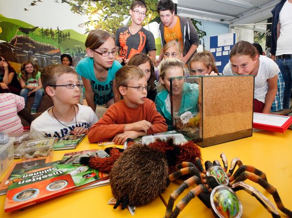 Das große Krabbeln im Nürnberger Kindermuseum