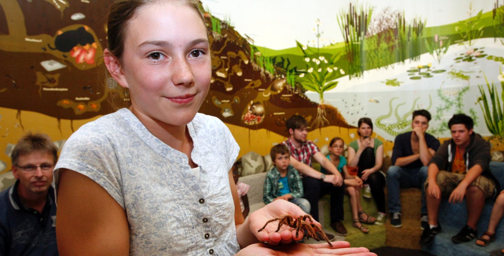 Das große Krabbeln im Nürnberger Kindermuseum Das große Krabbeln im Nürnberger Kindermuseum