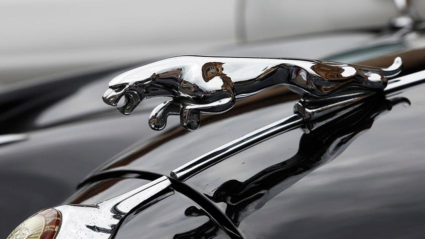 Schon alleine das Markenzeichen des Jaguars ist imposant.