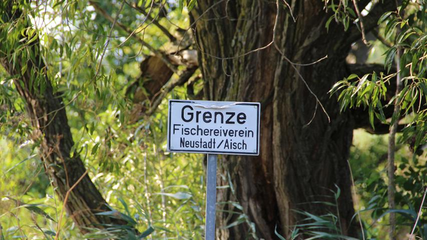 Schilder an den Bäumen direkt an der Aisch markieren den Beginn des Gebiets des Fischereivereins Neustadt/Aisch. Durch das Gebüsch hindurch, auf der anderen Seite des Flusses, sind schon die rauchenden Schornsteine der Brauerei Hofmann zu erkennen.