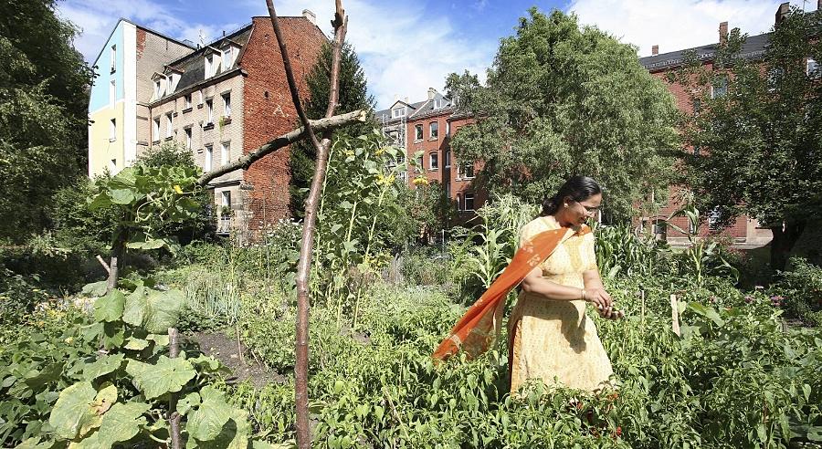 Im Multikulti-Garten blüht die Toleranz auf