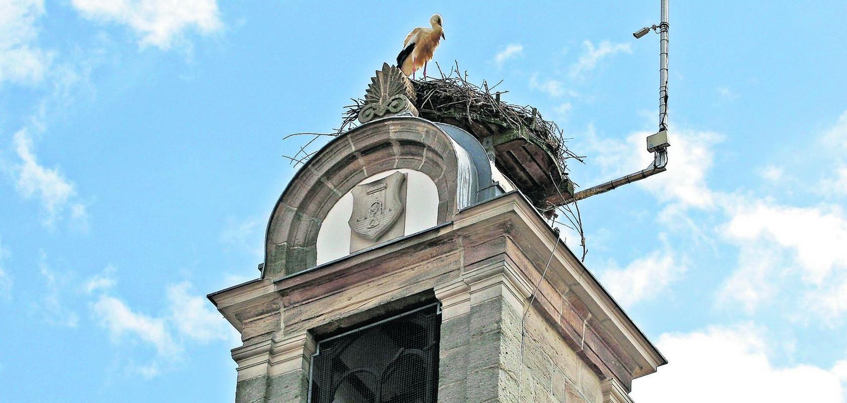 Ein Ort zum Wohlfühlen: Auf dem alten Rathaus in Höchstadt hat sich schon lange ein Storch eingenistet. In Röttenbach hingegen stellt man die Frage, wie mit dem erfolglosen Storchen-Paar umzugehen ist. Manche wollen das unfruchtbare Männchen gar vertreiben.