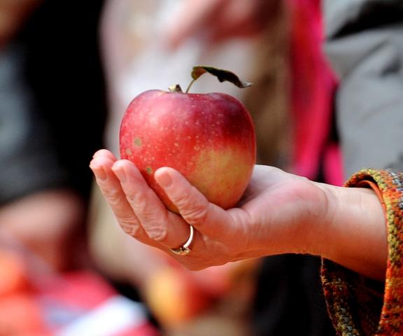 Äpfel und Birnen für Jedermann: Apfelmarkt in Fürth