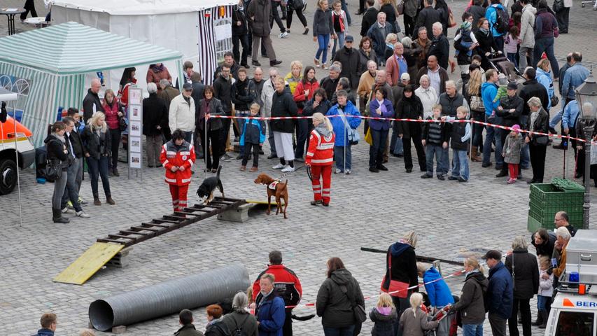 Auf dem Schlossplatz führten die Rettungshunde des Bayerischen Roten Kreuzes...