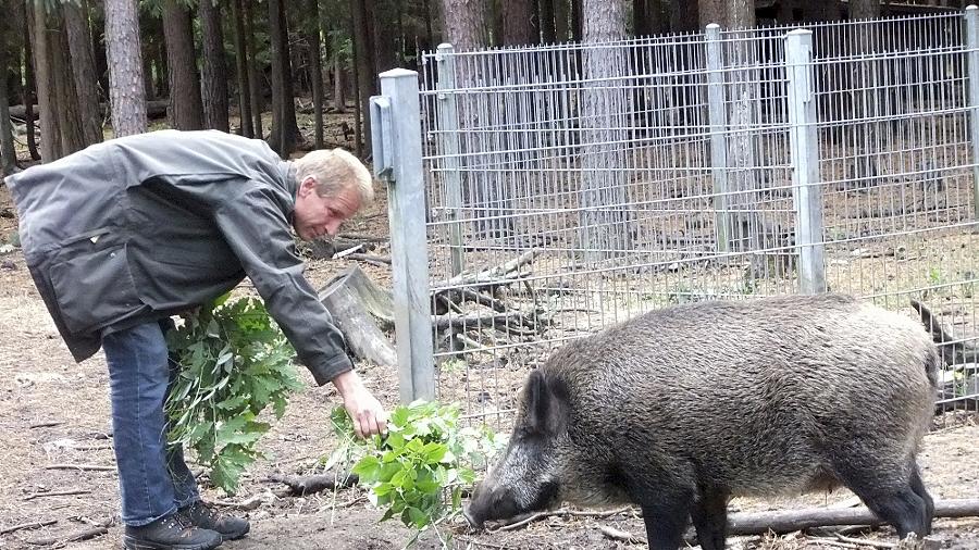 Schwein gehabt Schwein gehabt