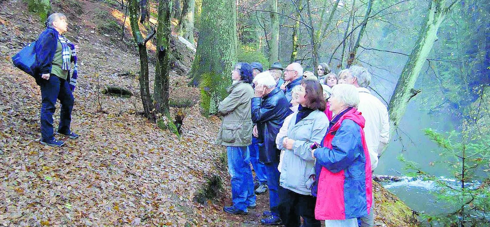 Freie Sicht auf die Kläranlage?