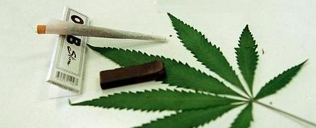 Kokain und Amphetamin ließ sich  der junge Dietfurter per Post kommen, doch bei Marihuana setzte er auf den Eigenanbau.