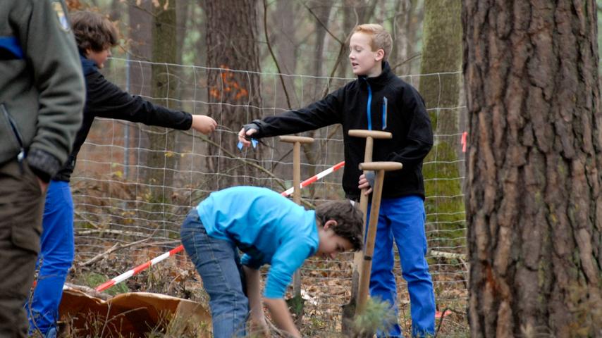 Realschüler pflanzen 2700 Bäume im Dohnwald
