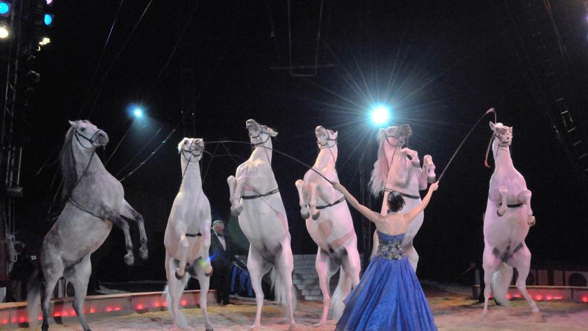 Bei der Show der edlen Araber vermengten sich Tanzakrobatik und Tierdressur.