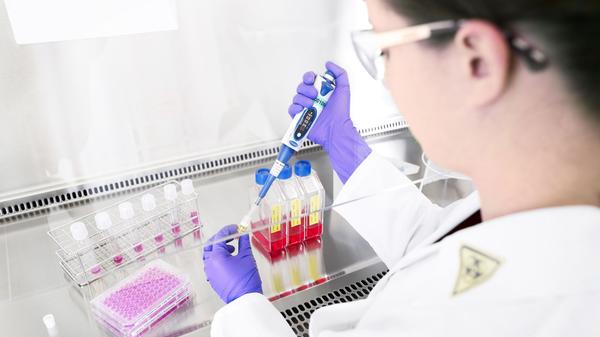 Das Gesundheitsamt zählt alle aktuellen Grippe-Patienten - doch es sind immer mehr, als auf dieser Liste stehen. Denn nicht jeder geht zum Arzt, sondern...
