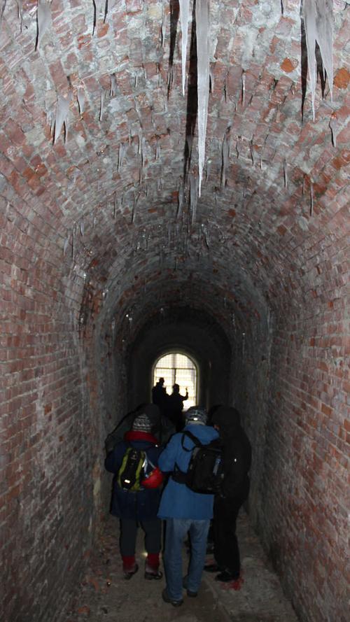 Festung Rothenberg: Wo die Fledermäuse hausen