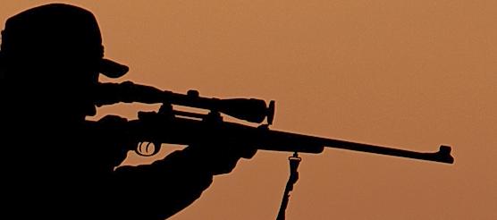 Dem Waidmann, welcher in Rehhof einen Hund erschossen hat, droht der Verlust seines Jagdscheins. Dem Waidmann, welcher in Rehhof einen Hund erschossen hat, droht der Verlust seines Jagdscheins.