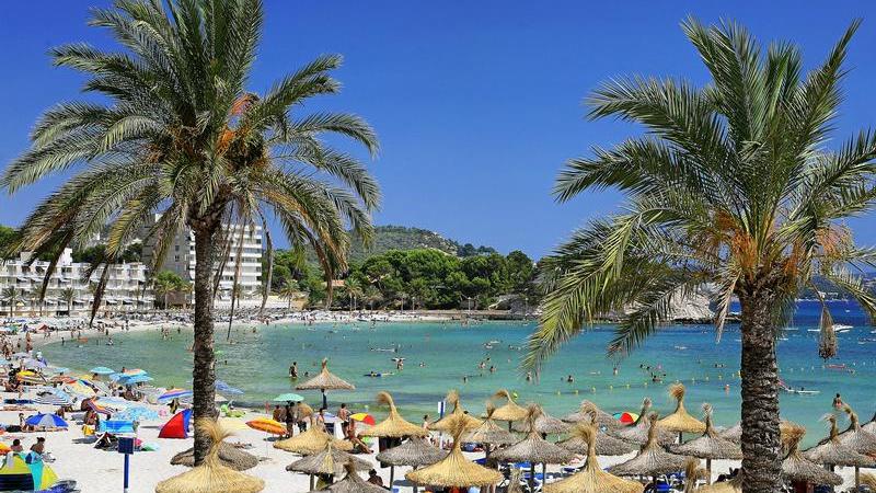 Für Flüge nach Mallorca haben Sonnenanbeter nächsten Winter ein größeres Angebot zur Verfügung als bisher.
