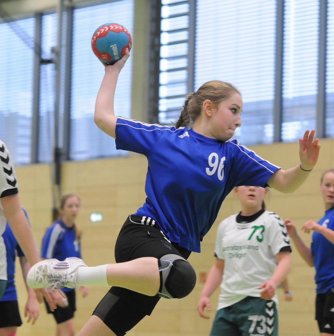 Handball-Bayernliga Weibl. B-Jugend: TSV Wendelstein Gegen DJK ...