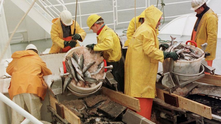 Die Deutschen verzichteten für kurze Zeit auf Fisch, bis die Fischhygiene-Verordnung erlassen wurde.