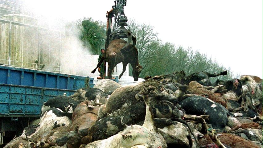 Trotz eines Einfuhrverbotes von Rindfleisch aus Großbritannien im Jahr 1993, wo die Seuche BSE ausgebrochen war, gelangte das Fleisch in deutsche Regale. Im Jahr 1996 erkrankte hierzulande das erste Tier an Rinderwahn.