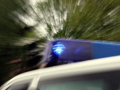 Get Projekt unvernunft Free Projekt Unvernunft