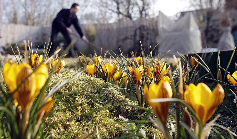 gartenarbeit frühjahr