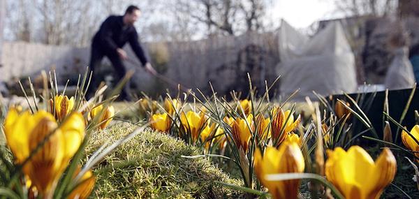 gartenarbeit frühjahr