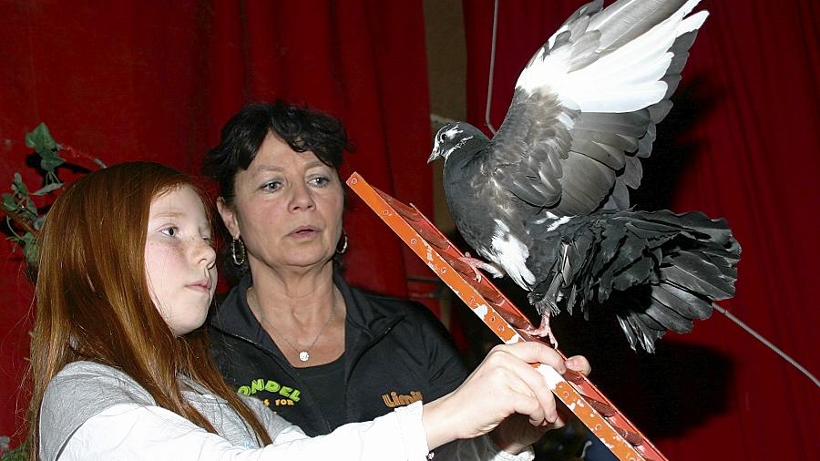 Schnellkurs in Trapezkunst und Taubendressur in Ammerndorf 