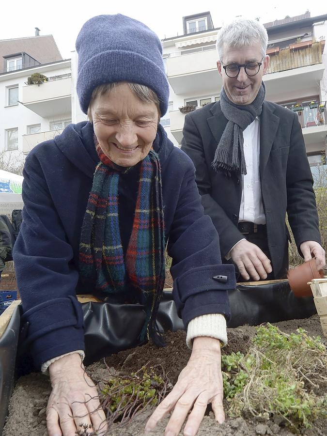 Urban Gardening: Neue Projekte gestartet