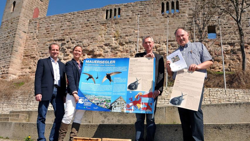 Eine Schautafel informiert Besucher und Interessierte über das Forschungsprojekt der Mauersegler auf Burg Abenberg.