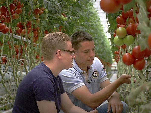 Gemüsebauern aus dem Knoblauchsland versuchen, die erhöhte Nachfrage nach Gemüse in Bayern zu befriedigen.