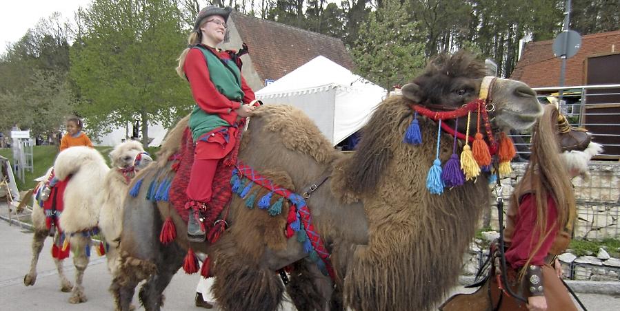 Auf den prächtig geschmückten Tieren der „Mongolen“ durften auch die Besucher ihre Runden drehen. Auf den prächtig geschmückten Tieren der „Mongolen“ durften auch die Besucher ihre Runden drehen.