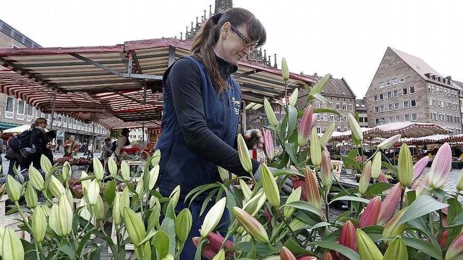 Nürnberger Floristen erklären die Preisgestaltung zu Muttertag