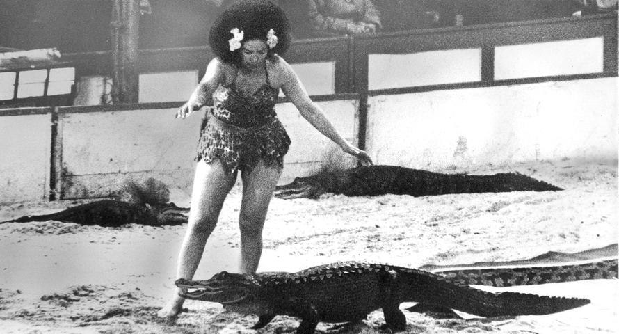 Keine Angst vor großen Tieren zeigt Loringa, die sich zwischen Alligatoren und Pythons anmutig bewegt. Eine unerschrockene Dame, wie man auf dem Bild sieht. (Zum Artikel: "Tiere in der Arena" )