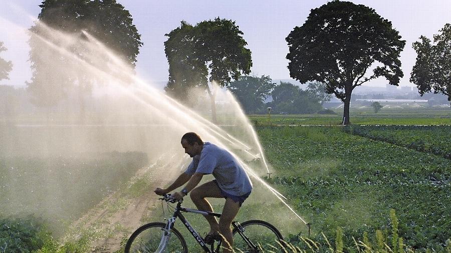 Wasser im Überfluss