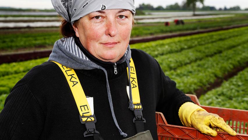 Die 50-Jährige Ewa Sienek aus Polen ist eine von ihnen. Seit 20 Jahren kommt sie zur Saisonarbeit ins Knoblauchsland.