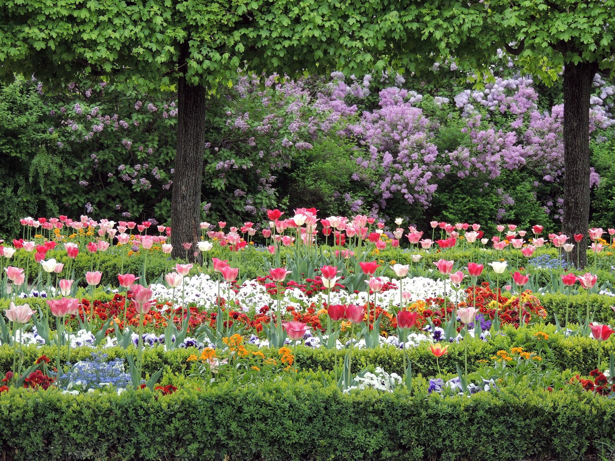 Im Lauf der Jahrhunderte gehörten einige Gartenanlagen zur Burg, die nicht mehr erhalten sind. Von 1538 bis 1545 wurden an Nord- und Westseite Bastionen errichtet, auf denen später der Burggarten (Bild), angelegt wurde. Der Maria Sibylla Merian-Garten liegt direkt neben dem Heidenturm und ist nach der Künstlerin und Naturforscherin benannt, die 15 Jahre lang in Nürnberg lebte. Es gibt noch einige kleinere Gärten, die aber nicht zugänglich sind.