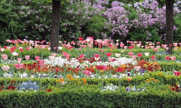 Im Lauf der Jahrhunderte gehörten einige Gartenanlagen zur Burg, die nicht mehr erhalten sind. Von 1538 bis 1545 wurden an Nord- und Westseite Bastionen errichtet, auf denen später der Burggarten (Bild), angelegt wurde. Der Maria Sibylla Merian-Garten liegt direkt neben dem Heidenturm und ist nach der Künstlerin und Naturforscherin benannt, die 15 Jahre lang in Nürnberg lebte. Es gibt noch einige kleinere Gärten, die aber nicht zugänglich sind.