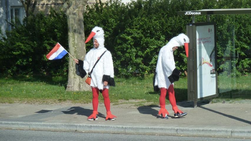 Nicht nur auf der Bühne gibt es beim ESC schräge Vögel. Diese Fans aus Holland haben sich passend zum Titel "Birds" ihrer Teilnehmerin gekleidet.
