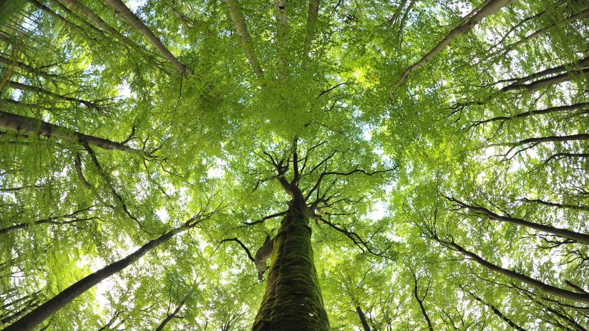 Total verfahren: Frau bleibt im Wald bei Parsberg stecken